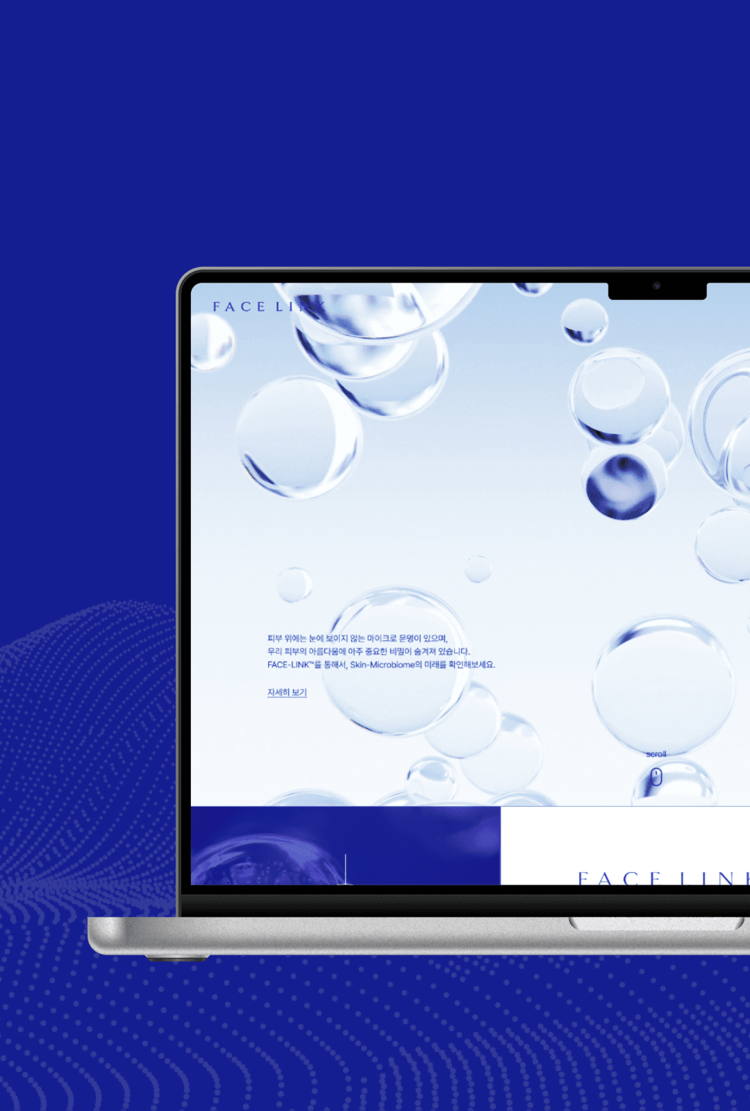 피부 마이크로바이옴 예측 서비스, 페이스링크